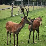Zur-kleinen-auszeit *