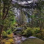 Apartamento Zur-kleinen-auszeit *