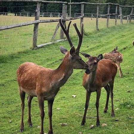 Zur-kleinen-auszeit *