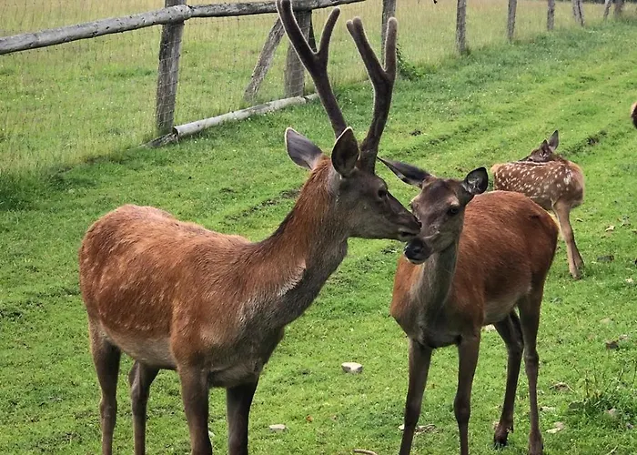Zur-kleinen-auszeit *